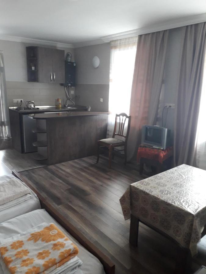Apartament Ninati Borjomi Esterno foto
